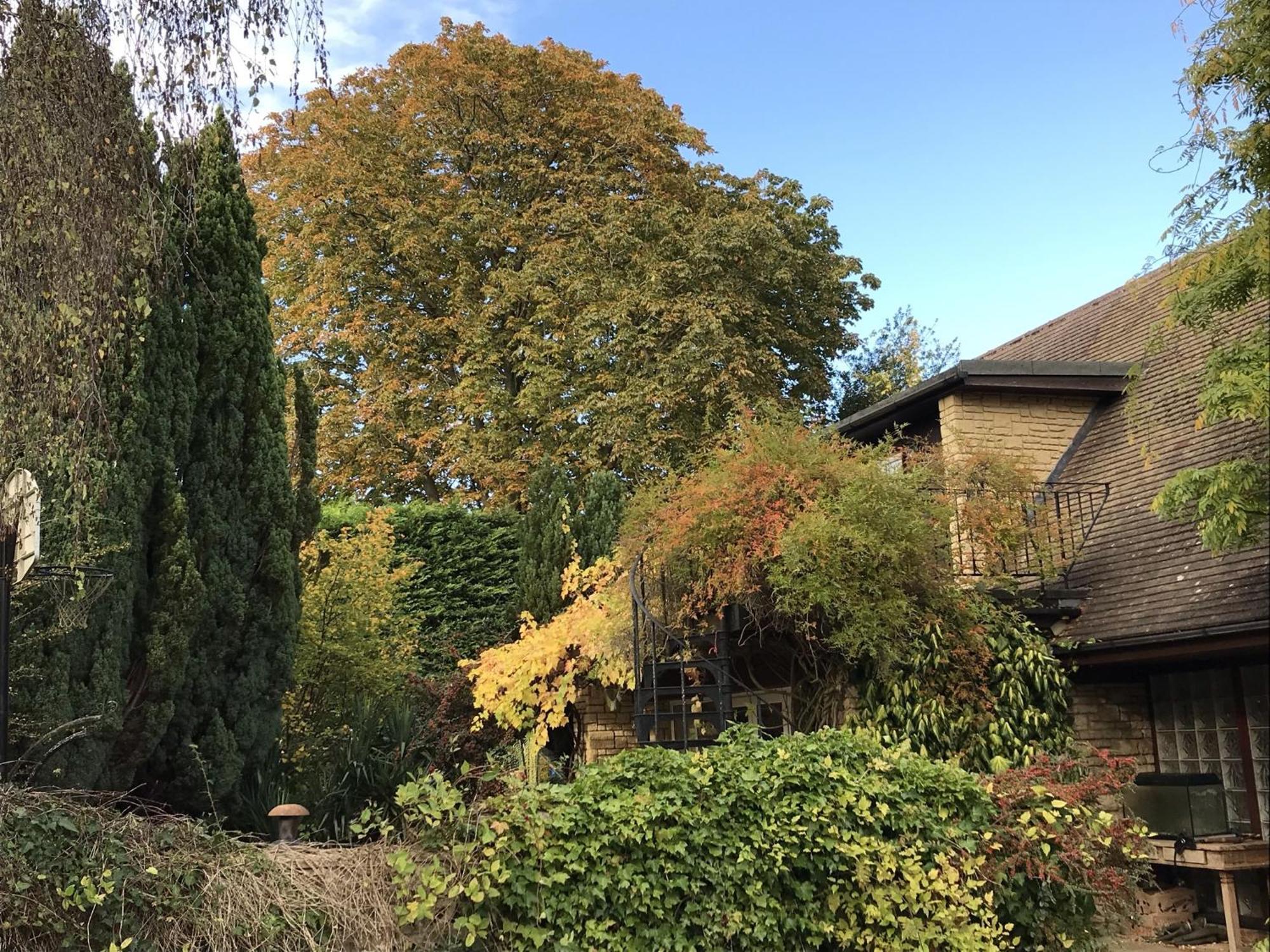 Sandford Meadow Guest House Kennington  Quarto foto